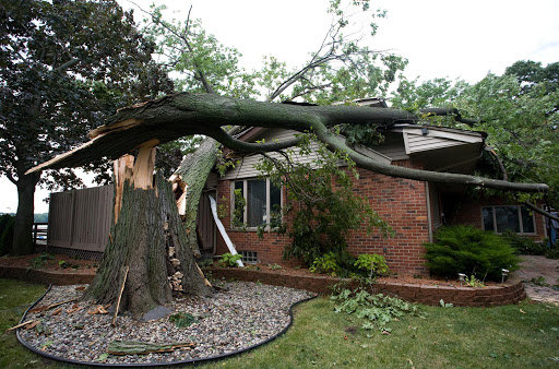 Storm Damage Restoration In Wayne County